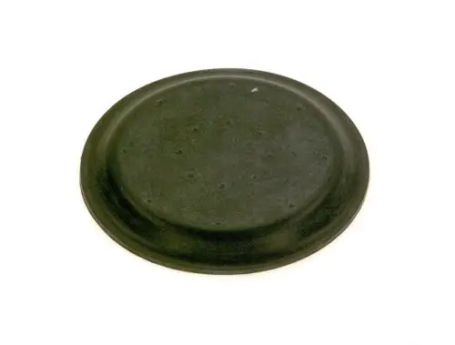 Schwarze, runde Membran mit kleinen Löchern, vermutlich für ein Sanitärventil. Produkt von Bosch. Oberflächentextur ist leicht rau.